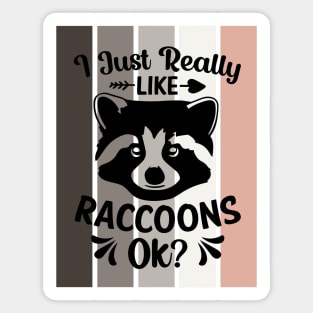 I just really like Raccoons, ok? Sticker